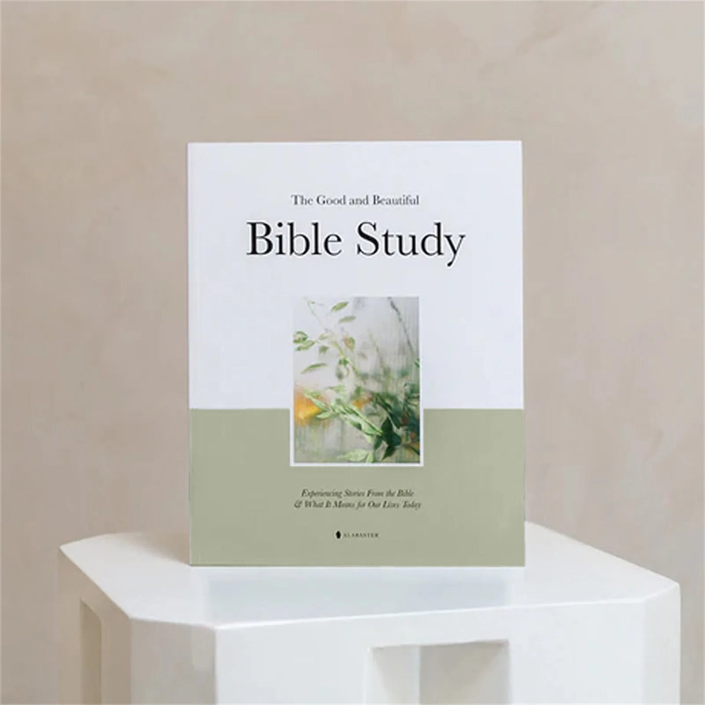 Good And Beautiful Bible Study Book