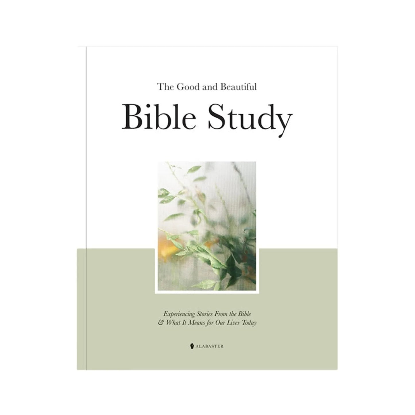 Good And Beautiful Bible Study Book