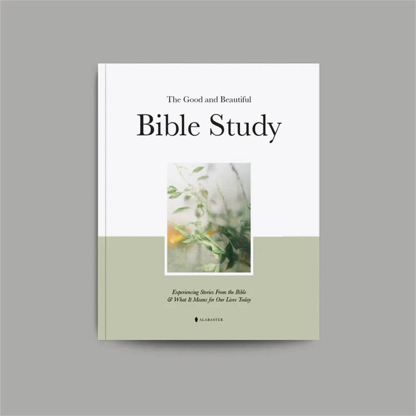 Good And Beautiful Bible Study Book