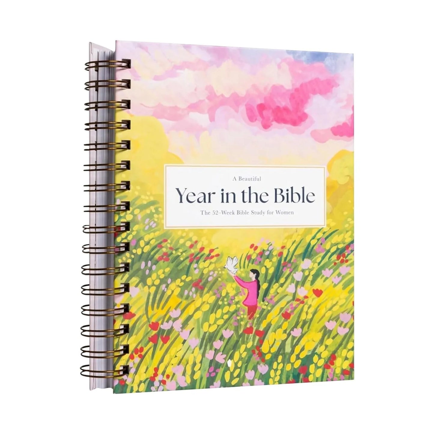 Beautiful Year In The Bible book 52 Week Bible Study Handbook For Women Purify Souls Women Bible Study Guide Suggested Readings