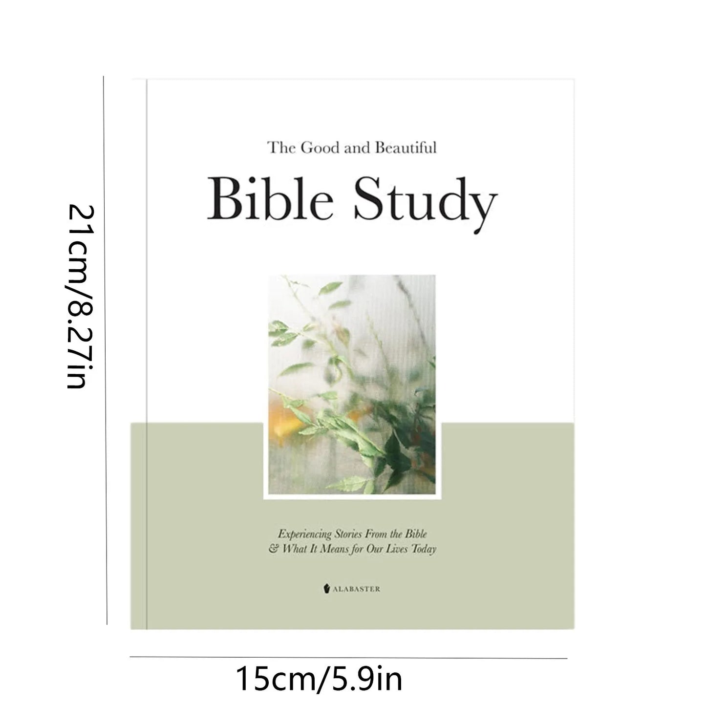 Good And Beautiful Bible Study Book